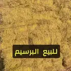 برسيم شد 90 مخلوط عدد 600 الموقع الاضارع