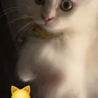 لتبني عمره شرين يحب العب مره