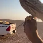 بأشق للبيع يهد وله مقاطع ويلحق النقل