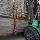 برسيم اسباني في الرياض