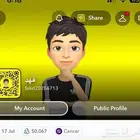 حسابات سناب متعدده ممتازه نقاط عاليه قانونيه مع ايميل