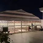 خيام ملكية بيت شعر بالدقة والتفصيل