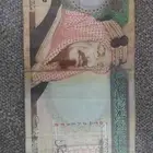 تبوك حي الروضه