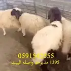 ذبايح عرض اليوم الوطني