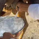 خلفاء منيحه مقنوي الحد 14500 تم البيع