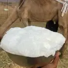 خلفاء حمراء منيحه للبيع الحد 11500