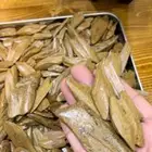 عود مروكي آصقون طبيعي محسن مباخر ( 104 تقييم ايجابي )