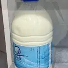 لبن ماعز