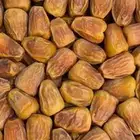 سكري فاخر الجبيل الصناعيه 75 ريال