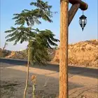 اعمده اناره خشبيه تراثيه