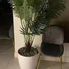 ادوات مطعم يحالة ممتازة