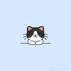 فندقه تبوك