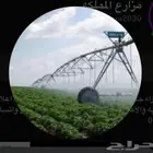 مزرعه للايجار