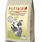 منتجات سيتا كوس للطيور الببغاء