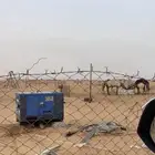 مكينة حمراني
