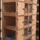 محكر خمس ادوار