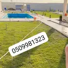 ثيل طبيعي