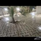فلة مع حديقة منزلية للإيجار حي السلمان
