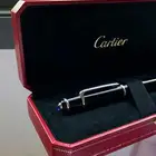 قلم كارتير ديابلو ريشه Cartier ( تم البيع )