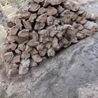 جذوع نخل جاهزه 2 ب10 ريال