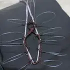 شبك لطرح الصقور