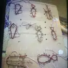 شبك لطرح الصقور