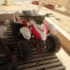 دباب اربع كفرات للبيع