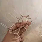شبك صيد الصقور