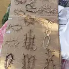 شبك الصقور