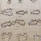 شبك لصيد الصقور