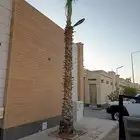 نخل امريكي نخل زينه