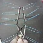 شبك لصيد الصقور