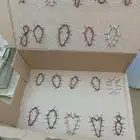 شبك لصيد الصقور