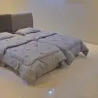 شقة للإيجار