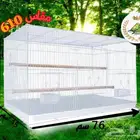 كراتين اقفاص 610 ((الكمية اصبحت محدوودة))