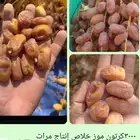تمر فله تمور