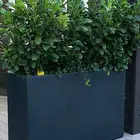 مراكن احواض اصايص زراعية كبيرة وجديدة