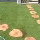 فني شبكات ري وتنسيق حدائق