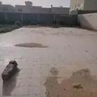 ارض مسورة في عنيزة حي الودي البيع مستعجل