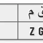 للبيع لوحة مميزه د ق م 80