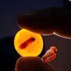 فصوص عقيق يماني مصورات نوادر