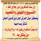 معلم قرآن اونلاين
