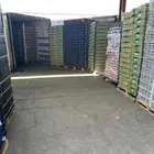 تمويل خضار وفواكه