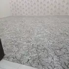 موقعنا فى بيشه