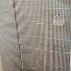 قفصين مطيار للبيع