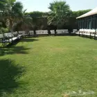 تأجير جلسات خارجية الرياض