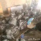 كيرات تيوتا وهونداي وماذدا