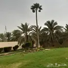 بسمله الله الرحمن الرحيم