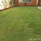 تنسيق حدائق  تشجير صيانة