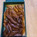 بكج العز للعودبسعر ممتاز